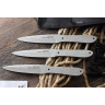 Набор MR BLADE CRYSTAL MB091